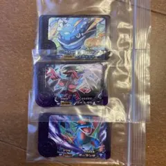 新品⭐︎ポケモンフレンダ　第5弾　ボーマンダ　イベルタル　ヘイラッシャ