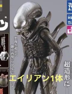 Item thumbnail for item 63a4bdb6-d237-4d80-aadc-dd073f658bf7