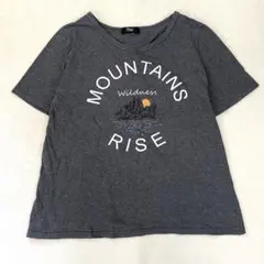 スマイルランド カットソー Tシャツ 半袖 Vネック コットン グレー Lのサムネイル