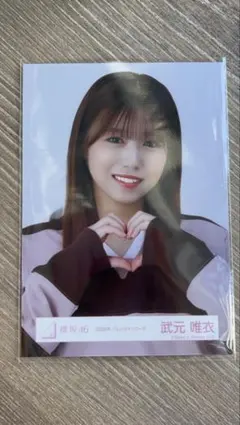 Item thumbnail for item 16c39e6b-94bb-4feb-8bed-9beda1cff566