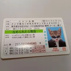 なめ猫運転免許証風カードのサムネイル