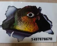 ばやし様 リクエスト 4点 まとめ商品