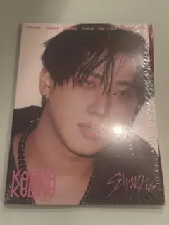 stray kids KARMA accordion Ver. チャンビン