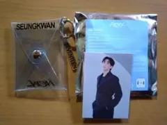 SEVENTEEN ミニポーチ:スングァン