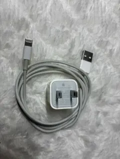 Apple 純正　アダプタ Lightningケーブルセット