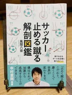 Item thumbnail for item 2f9597d8-3379-44d0-9b59-ea97a58bb943