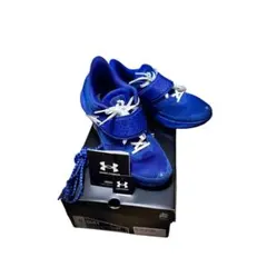 ‼️完売品新品未使用‼️Under Armour CURRY12 29cm Under Armour Rings In Chinese New Year with Stephen Curry