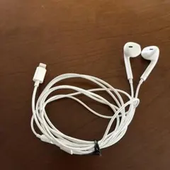 イヤホン　ライトニング　iPhone 有線