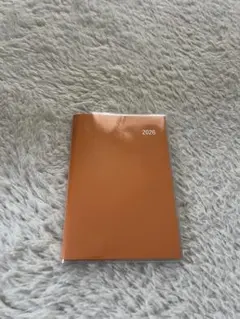 Item thumbnail for item 10cafc7f-7392-4391-b160-a89a3ee20689