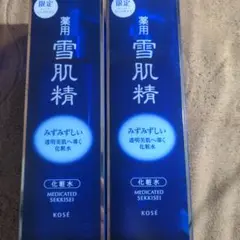 2つセットKOSÉ 薬用雪肌精 500mL 限定品