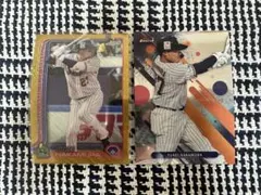 Item thumbnail for item edc70102-1dd8-4a47-8383-eb1b3edf4de8