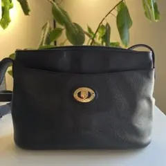 袋付 希少品 Burberrys シャドーホース ロゴ ノバチェック 本革 黒