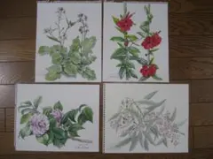 ヒロハル様 リクエスト 2点 まとめ商品