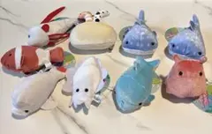 【新品】わくわくの海　シーアニマルズ ぬいぐるみセット　９点