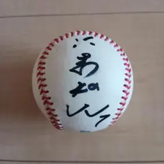 横浜DeNAベイスターズ 仁志敏久 投げ入れ 直筆サインボールのサムネイル
