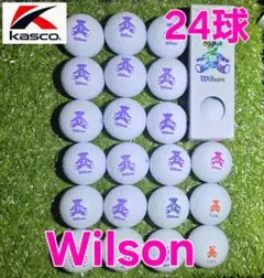 Wilson BEAR 24球【3球新品】ホワイト