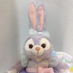 お顔厳選　カラフルハピネス　ぬいぐるみバッジ　ダッフィーフレンズ　ステラルー