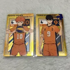 日向翔陽 影山飛雄　メタルカード