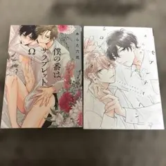 セブンティーンシロップス　他