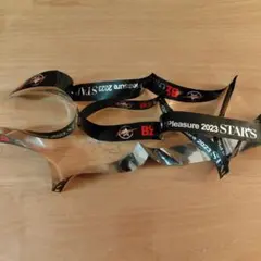 B'z LIVE-GYM Pleasure 2023 STARS 銀テープ