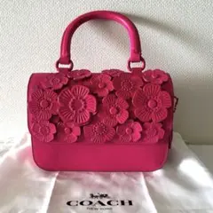 2026年最新】coach ティーローズ ローグの人気アイテム - メルカリ