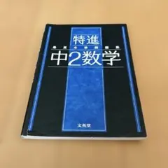 最高水準問題集 特進 中2数学