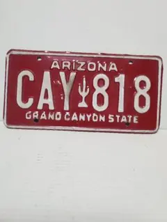 2026年最新】アリゾナナンバープレートの人気アイテム - メルカリ