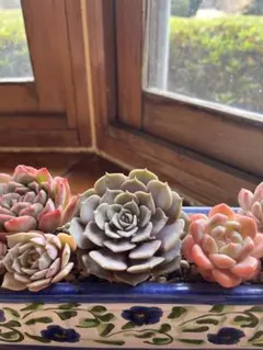 2026年最新】ヴィンセントカトーの人気アイテム - メルカリ