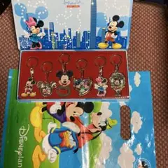 香港ディズニーキーホルダー　6個セット