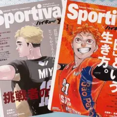 ハイキュー!! ショーセツバン 月島蛍 sportiva ビジュアルボード ハイキュー!! ショーセツバン 月島蛍 ビジュアルボード sportiva