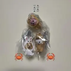 StrayKids スキズ SKZOO つまんでつなげてますこっと2ガチャ 3点