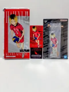 一番くじ ハイキュー!! 最強の挑戦者 狐爪研磨 F賞+I賞