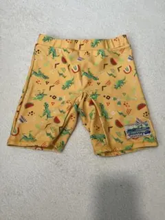 恐竜とスイカの水着120