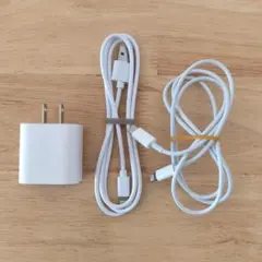 【Apple純正】 Lightningケーブルセット