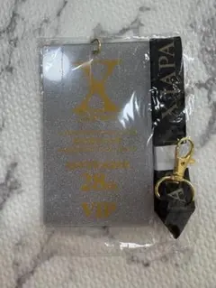 X JAPAN VIPパスのサムネイル