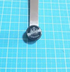 Item thumbnail for item 6f87227d-adcf-4604-8609-a9b0624734ac