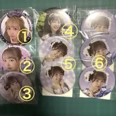 FRUITS ZIPPER 仲川瑠夏 缶バッジ すきくじ