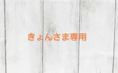 【きょんさま専用】花苗 合計6ポット