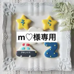 《m♡様専用アイシングクッキー》誕生日Happy Birthday お祝い
