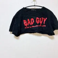 Item thumbnail for item 93f61c88-a401-4a6c-aad1-a8decafc0bbe