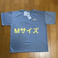 エンジェルブルー　しまむらのサムネイル