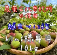NAGOMIの梅『kimi10kg』越生べに梅 NAGOMIの梅『kimi様専用10kg』越生べに梅 - メルカリ