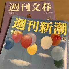 Item thumbnail for item b60301ff-114e-4cd9-a0b0-97ef4a179d71