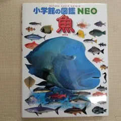 Item thumbnail for item 0d57eedb-320b-4e99-b868-be7af36bbfac