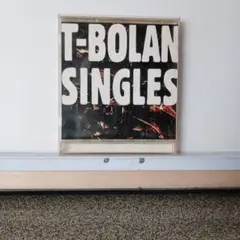 3014.3 T-BOLAN SINGLES
