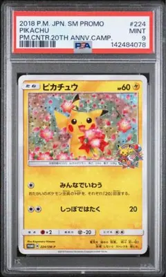 ピカチュウ　みんなでいわう　ポケモンセンター20周年記念 ピカチュウ：ポケモンセンター20周年記念キャンペーン みんなでいわう