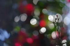 randy様 リクエスト 2点 まとめ商品