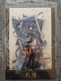 FUN4YEAH 鳴潮 ベルベットフラックスシリーズ アクリルスタンド 漂泊者