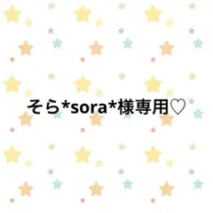そら*sora*様専用♡