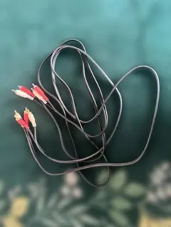 Item thumbnail for item 831cf537-fde6-4d17-967f-bde781eb035b